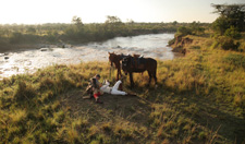 Kenya-Masai Mara-Masai Mara Ride - Aloe Blossom